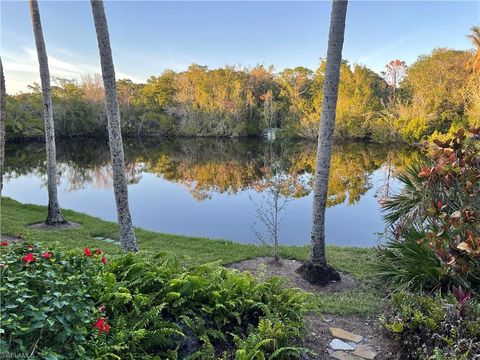 4542 Shell Ridge CT BONITA SPRINGS FL 34134