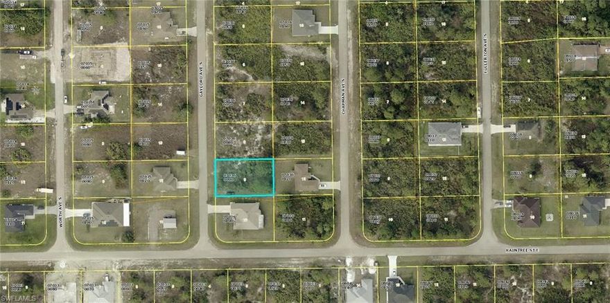 This amazing lot is located just 3 blocks off of Homestead Rd S and has new construction homes on the same block as well as all over this area.  This location provides easy access to Hwy 82 and is just a short drive to Fort Myers and Punta Gorda airports, two spring training facilities and beaches!
