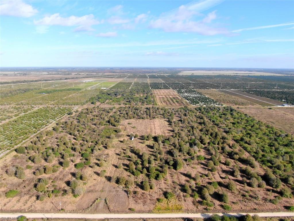 GERBER GROVES - Commercial Sale