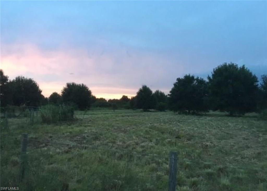 GERBER GROVES - Commercial Sale