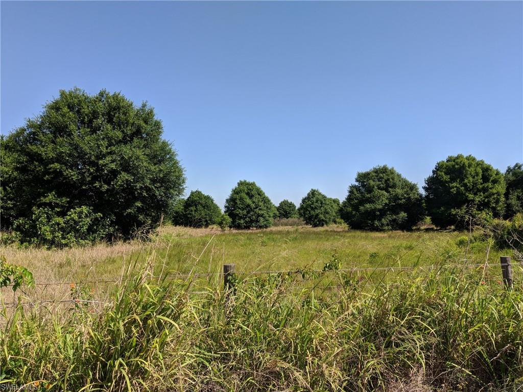 GERBER GROVES - Commercial Sale