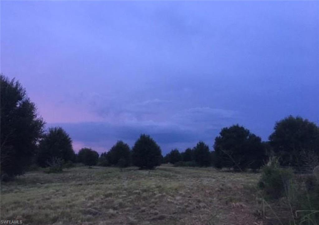 GERBER GROVES - Commercial Sale