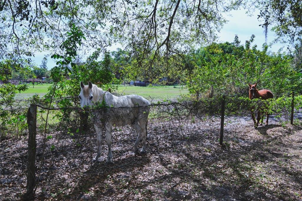 LABELLE - Residential