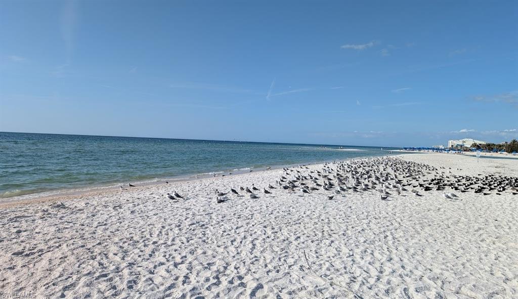 7117 Pelican Bay BLVD PH-16