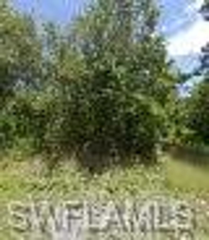 Discover the perfect opportunity to own your own slice of country paradise at 245 N Romero Street in the growing community of Montura Ranch Estates.  Situated on approximately 1.25 acres, this spacious property offers the ideal setting to build your dream home, invest for the future, or create a privage weekend retreat. 
Enjoy the freedom of rural residential zoning (RRF), allowing for a variety of uses including site-built or manufactured homes, with space for animals, gardening, and outdoor living.  Montura Ranch is know for its wide-open spaces, peaceful surroundings, and flexibility-making it a highly desirable location for those seeking privacy without sacrificing accessibilty. 
This oversized lot provides ample room for a custom home, pool, workship and more.  With no HOA, you'll have the flexibility to design and use your property to fit your lifesytle. 
Conveniently located just a short drive to Clewiston, Lake Okeechobee, and major roadways, this property combines rural charm with accessibility to shopping, dining, and outdoor recreation. 
Whether you're looking to build now or hold as an investment, this is your chance to secure land in one of Southwest Florida's fastest-growing rural communities.