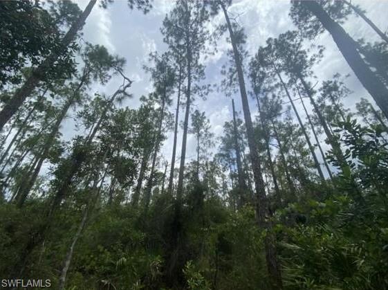 GOLDEN GATE ESTATES - Land