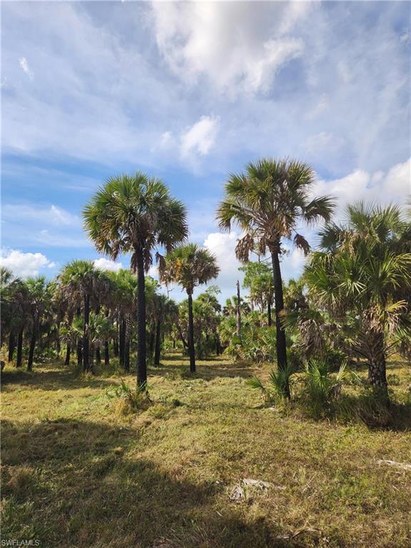 ACREAGE HEADER - Land