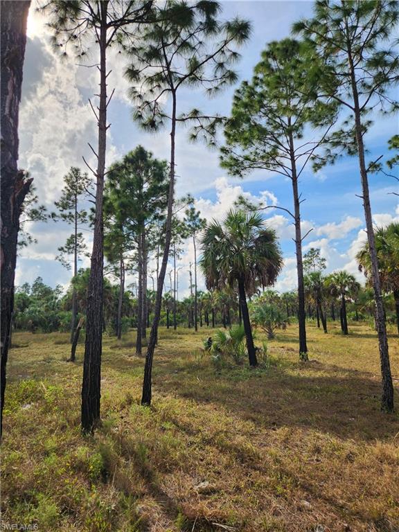 ACREAGE HEADER - Land