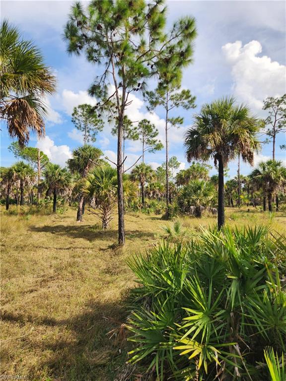 ACREAGE HEADER - Land