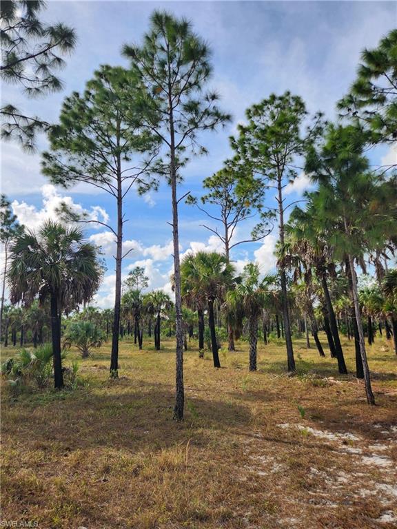 ACREAGE HEADER - Land