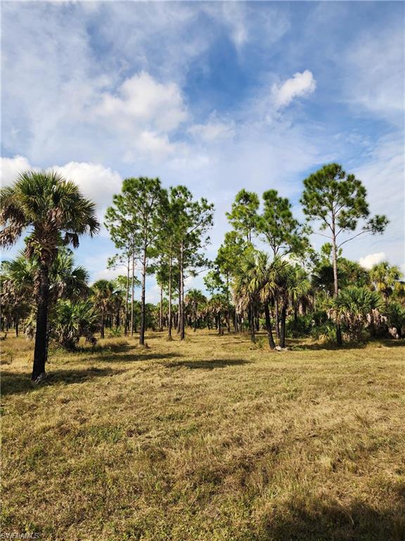 ACREAGE HEADER - Land