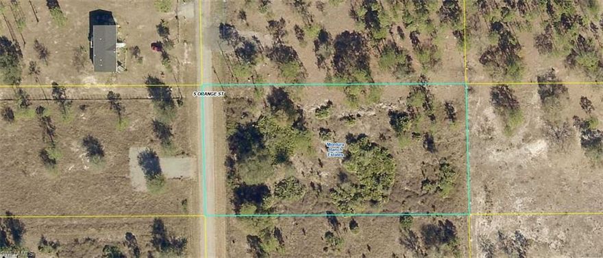 Welcome to your opportunity to own a piece of Southwest Florida! This 1.25-acre vacant lot in the desirable Montura Ranch community offers the perfect canvas to build your dream home or weekend getaway. Enjoy the peace and quiet of rural living with no HOA restrictions, giving you the freedom to bring your animals, park your RV, or design the property exactly how you envision it. Don't miss this affordable slice of Florida land!