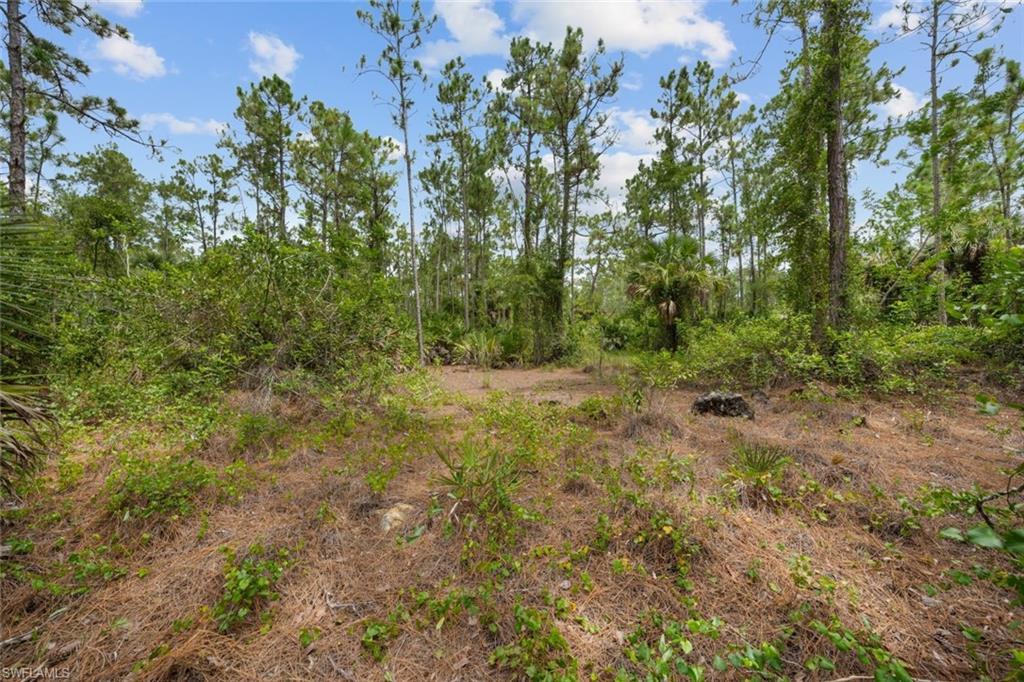 GOLDEN GATE ESTATES - Land