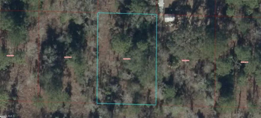 A VACANT LOT IN WILLISTON IN LEVY COUNTY!!!