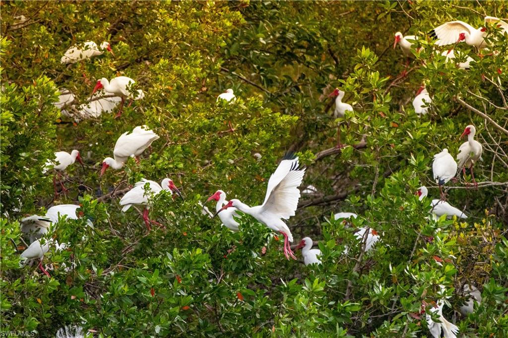 SANDPIPER AT BONITA BAY - Residential