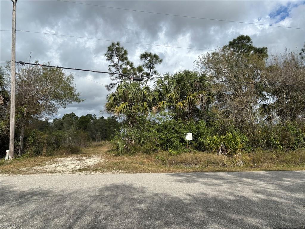 GOLDEN GATE ESTATES - Land