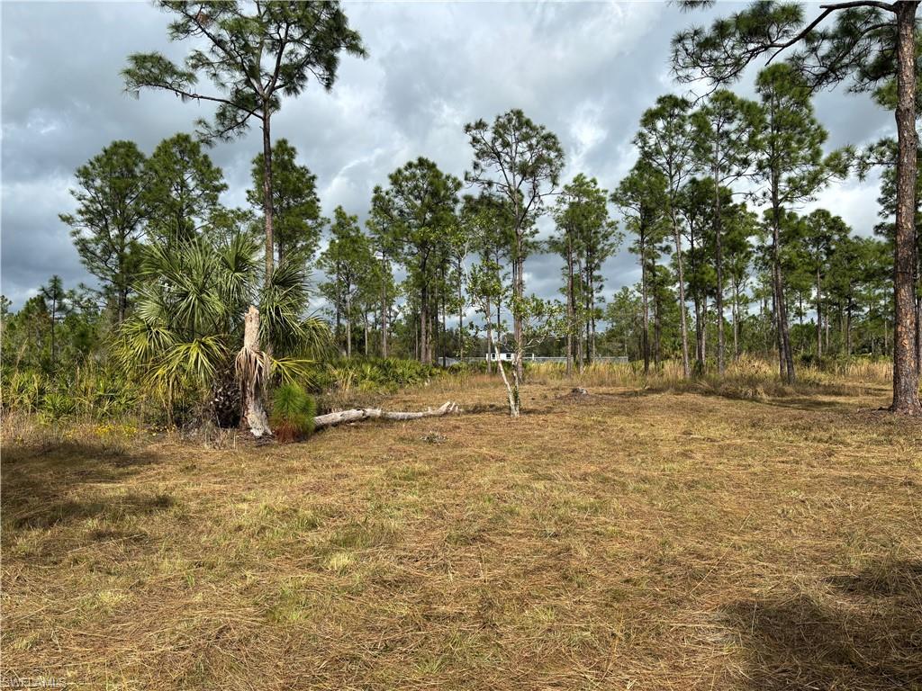 GOLDEN GATE ESTATES - Land