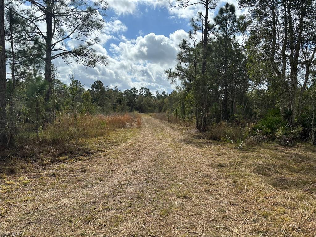 GOLDEN GATE ESTATES - Land