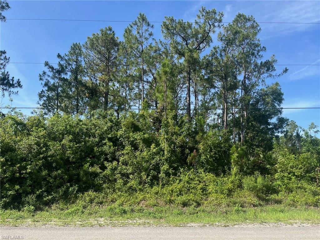 GOLDEN GATE ESTATES - Land