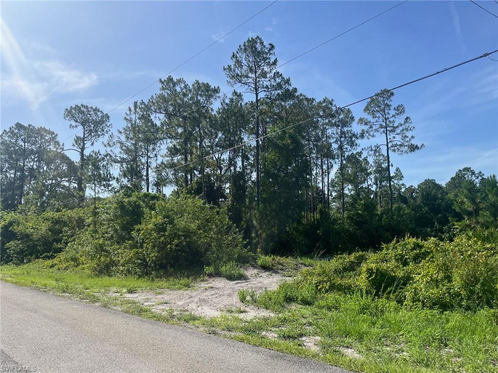 GOLDEN GATE ESTATES - Land