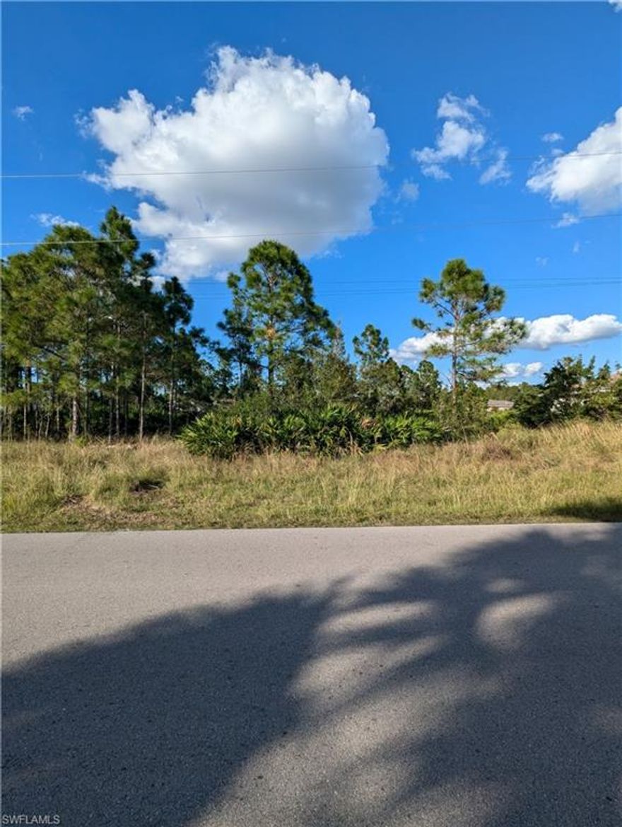 Don't miss your opportunity today to purchase 2004 W 9th St, a vacant lot in the rapidly developing 33972 Lehigh Acres zip code. This lot is ready to be cleared by it's new owner, and has electricity already present on adjacent lots. This property will not last long, call today!