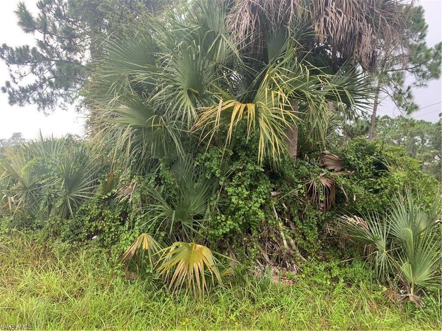 Great Buildable lot , quite area. Take advantage of the low price. Cash Only