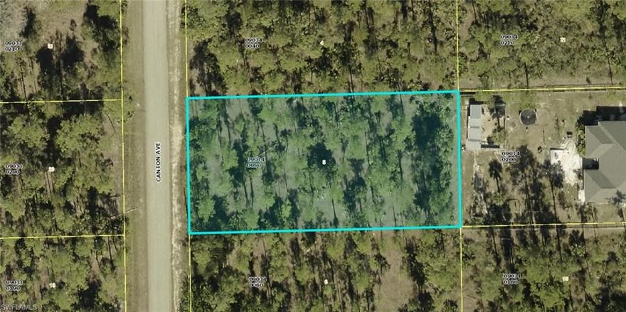 Discover the perfect opportunity to build your dream home or invest in a growing area with this oversized vacant lot in Alva, Florida. Located in a quiet residential setting, this spacious parcel measures approximately 209 x 104 feet, offering ample room for a custom home, outdoor living space, and additional features. Surrounded by natural greenery and established homes, the property provides a peaceful atmosphere while still being conveniently close to major roads for easy access to Fort Myers, Lehigh Acres, and nearby shopping, dining, and schools. Alva is known for its rural charm, open spaces, and relaxed lifestyle, making it ideal for those seeking privacy without sacrificing convenience. Whether you’re planning to build now or hold as a long-term investment, this lot offers excellent potential in a steadily developing area of Alva. Don’t miss this opportunity to secure land in one of Lee County’s desirable communities.