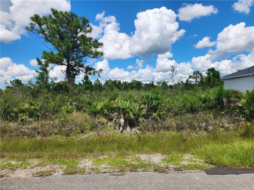 Build your new home on this .25-acre lot in a growing area of Lehigh Acres. The lot is on a paved street with plenty of room for a pool, and there's no HOA! The lot is located within an easy drive to all the conveniences you'll enjoy, and I-75 is just minutes away via Lee BLVD. Take a drive and check out this lot today!