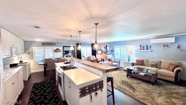 OLD BRIDGE VILLAGE - Residential