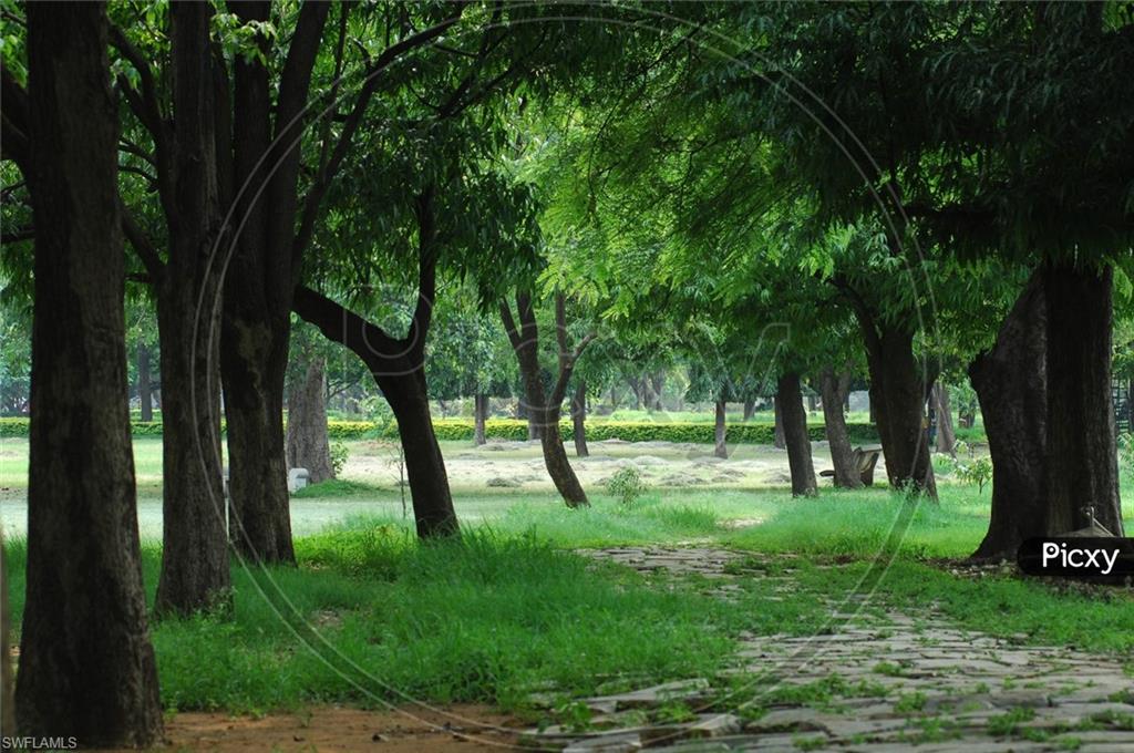 GOLDEN GATE ESTATES - Land