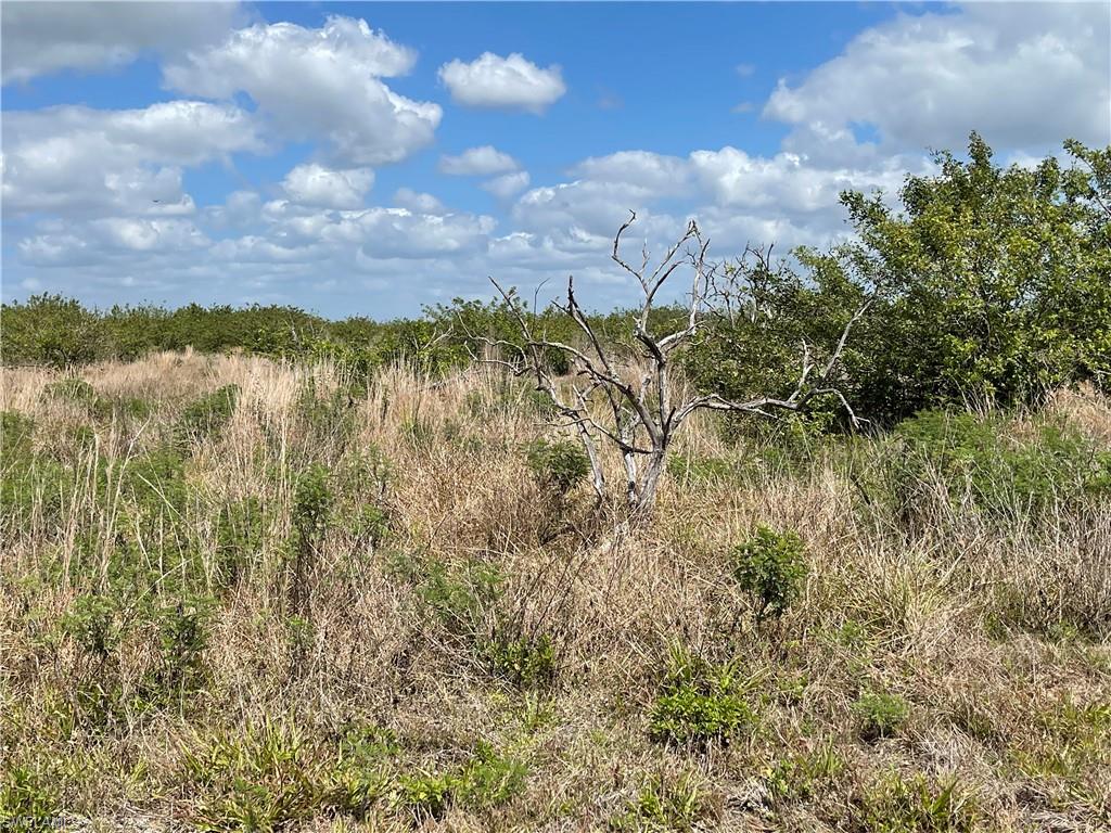 GERBER GROVES SEC 2 - Land