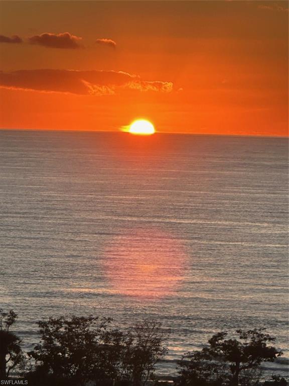 11 Bluebill AVE 1001