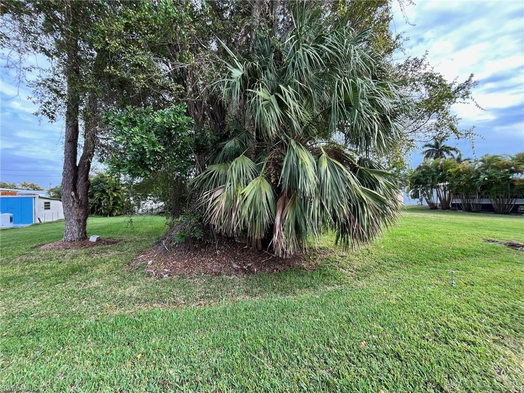 PINE ISLAND CENTER - Land