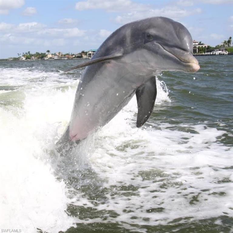 OLDE MARCO INN - Residential