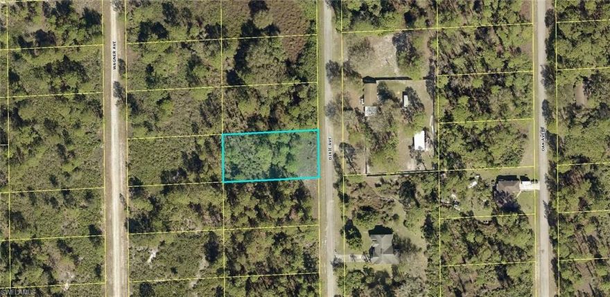 Half Acre Buildable Lot, Located in the Center of Lehigh Acres. Close proximity to shopping and restaurants. If you're looking for a quiet setting and not being on top of your neighbors then build your Dream Home here!