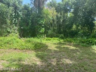 PALMONA PARK - Residential