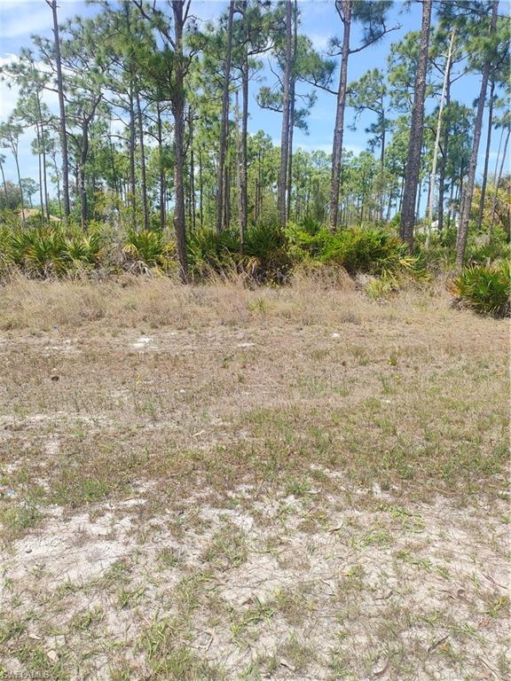 KREAMERS AVOCADO SUBD - Land