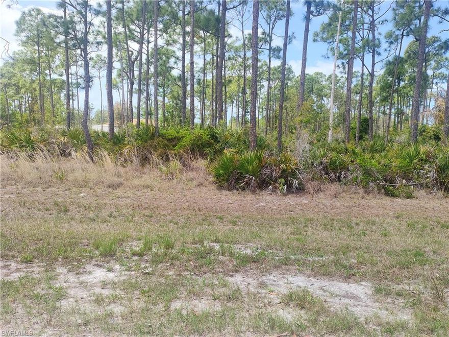 Half-acre  lot in the Kreamers Avocado area in Bokeelia. A Quite and private lot in the country, located
close to boat launching,resturants. The area is one of the  highest elevations on Pine Island with lovely new homes being built - all with their own priviate acreage for gardens,pools extra storage buildings etc.
So many areas for walks, bike rides,bird watching. This area would be perfect for your
"dreamed of home" or a vacation retreat. Come take a drive and see the possibilities.