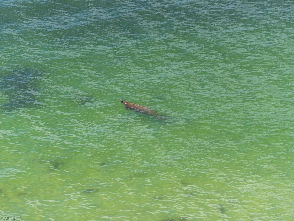 COZUMEL - Residential