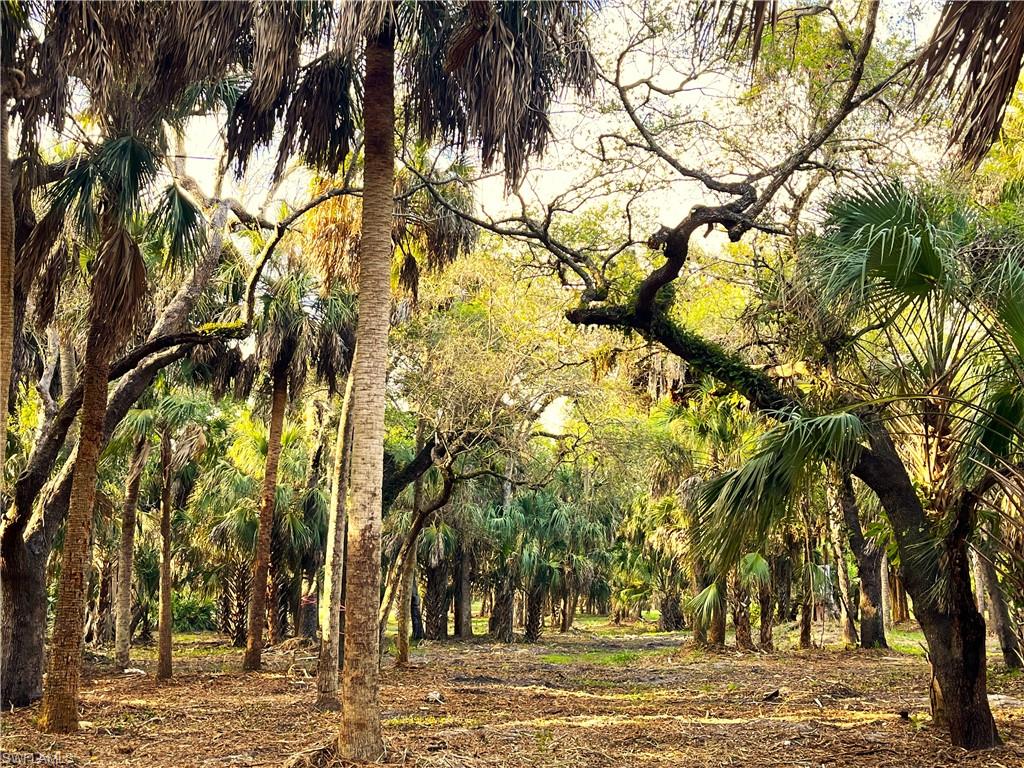 N G T C L F UNIT 2 - Land