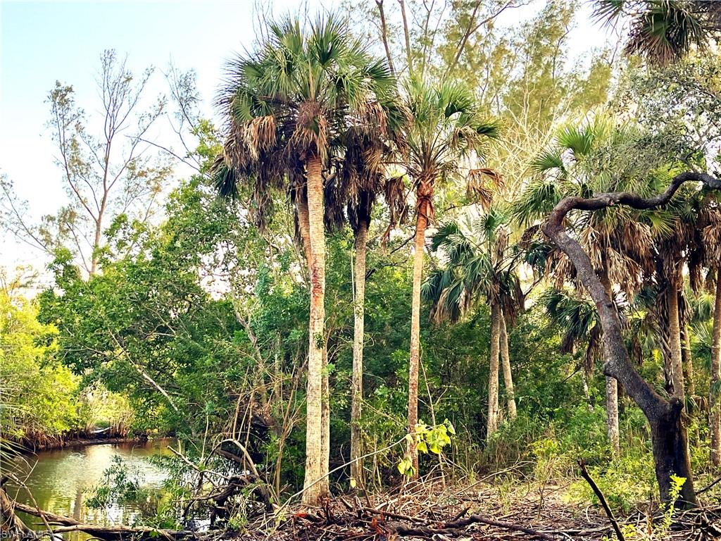 N G T C L F UNIT 2 - Land