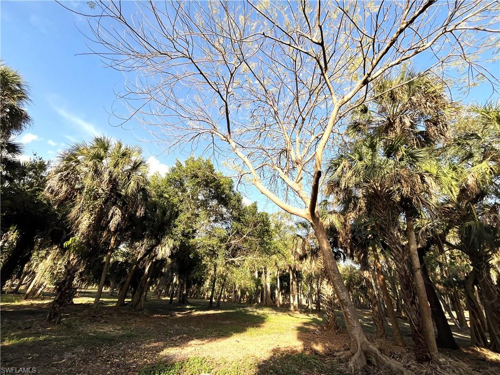 N G T C L F UNIT 2 - Land