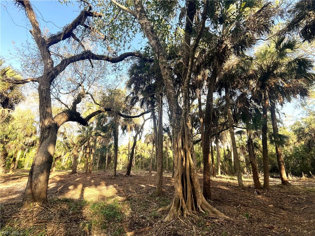 N G T C L F UNIT 2 - Land