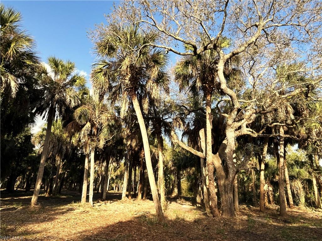 N G T C L F UNIT 2 - Land