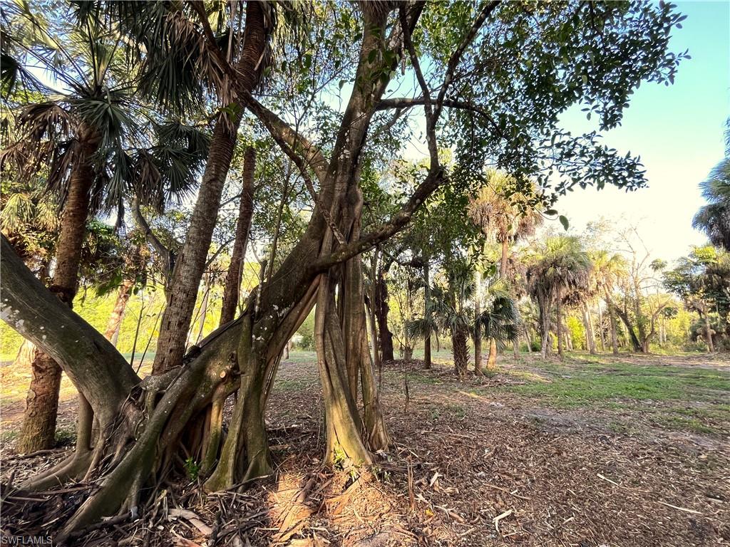 N G T C L F UNIT 2 - Land