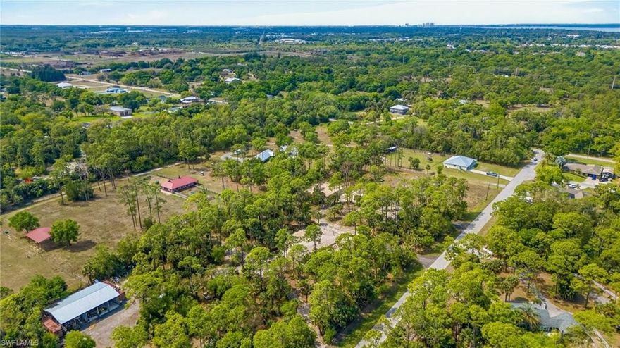 Ready to build! This 1.1 acre Buckingham lot comes equipped with a driveway, culvert, filled to yard grade and selectively cleared, saving you time and money from day one. Zoned Ag-2, it’s perfect for animals and those craving space, privacy, and a peaceful setting. Ideally located just minutes from I-75, with easy access to shopping, dining, parks, kayaking, and a public boat ramp. The perfect blend of country living and convenience bring your plans and make it yours! Want more property, NO PROBLEM! 11120 Long Rd and 11100 Long Rd are For Sale too!