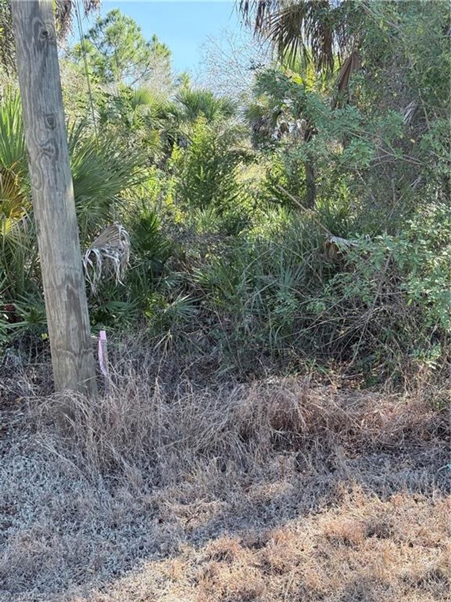 Prime ¼-Acre Residential Lot in Hendry County — Ready to Build!

Build your dream home on this spacious ¼-acre residential parcel located in a growing and active neighborhood of Hendry County. Enjoy country living with easy access to city amenities:

? Quiet, developing community with nearby homes under construction
? Approximately 20 minutes to Lehigh Acres / Ft. Myers via Route 80
? About 30 minutes to downtown Fort Myers
? Close to shopping, dining, schools, and essential services
? Undeveloped lot — perfect canvas for your custom build

Whether you’re planning a permanent residence, a seasonal retreat, or a future investment, this property offers great value and convenient Southwest Florida access.

?? Location Highlights:
• Easy access to Route 80 — commute or explore with ease
• Near expanding residential growth corridors
• Ideal for builders, investors, and homeowners alike