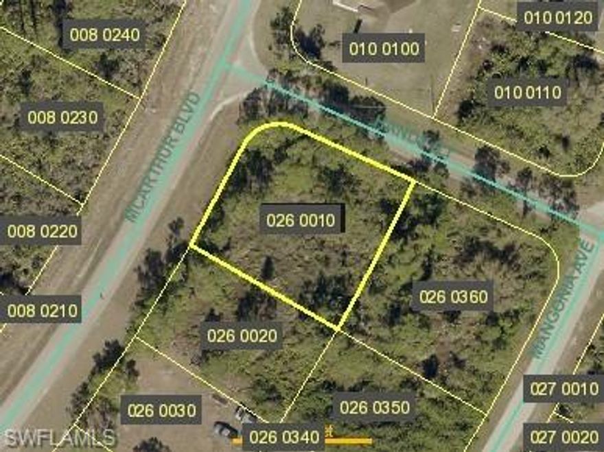 Great corner lot with opportunity to purchase lot  next door as well 327 mcarthur blvd