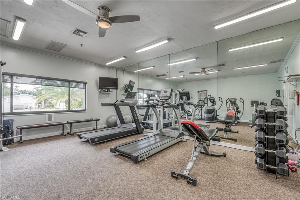 IMPERIAL WILDERNESS - Land