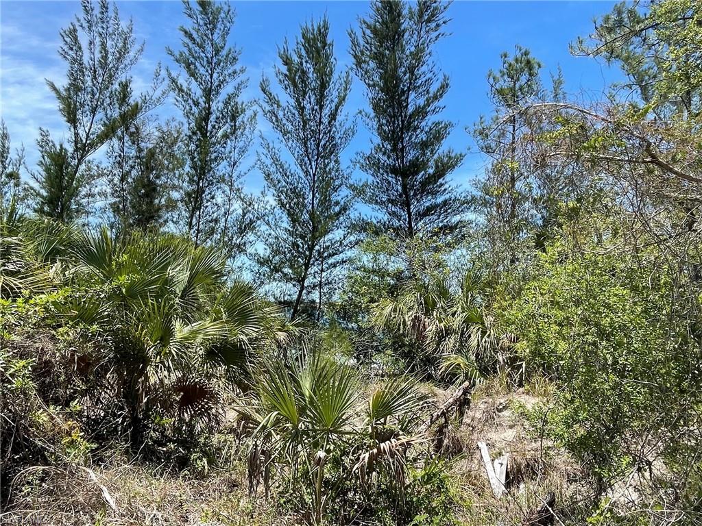 GOLDEN GATE ESTATES - Land